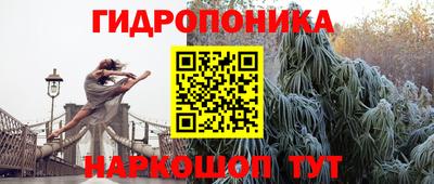 амф Балахна