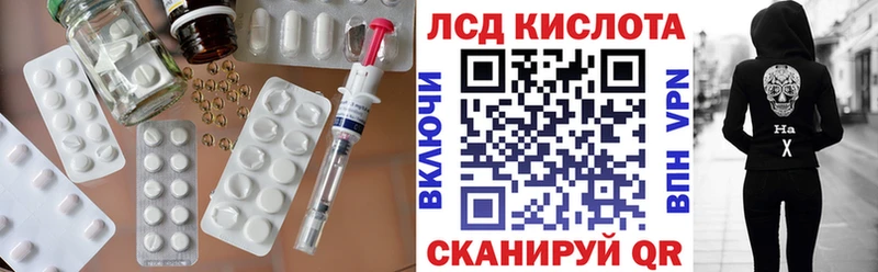купить закладку  Богородицк  даркнет телеграм  LSD-25 экстази кислота  KRAKEN tor 