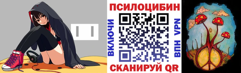Галлюциногенные грибы Cubensis  закладки  Богородицк 