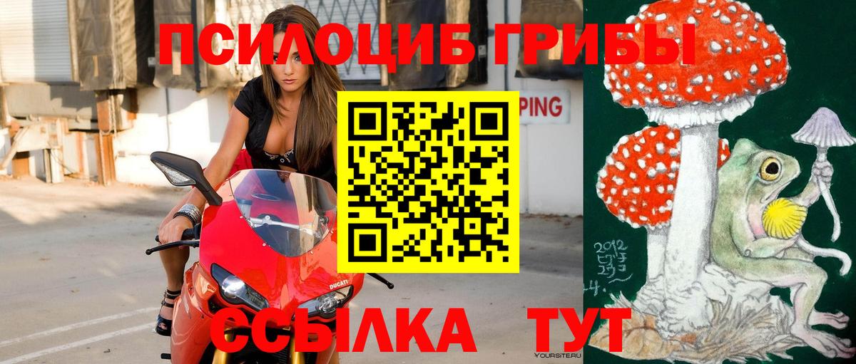 Богородицк  Галлюциногенные грибы мухоморы  Вход с VPN  купить   Галлюциногенные грибы Psilocybe 