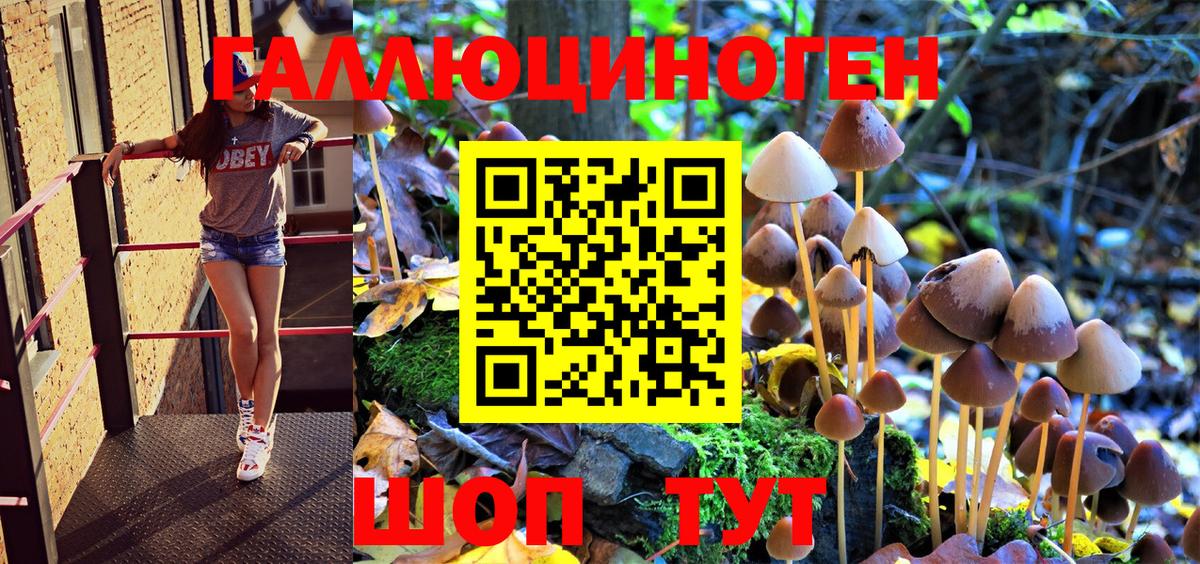 Псилоцибиновые грибы Magic Shrooms Богородицк