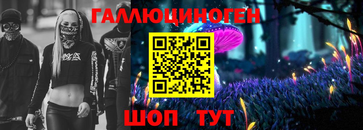 Псилоцибиновые грибы GOLDEN TEACHER  Богородицк  Псилоцибиновые грибы ЛСД 